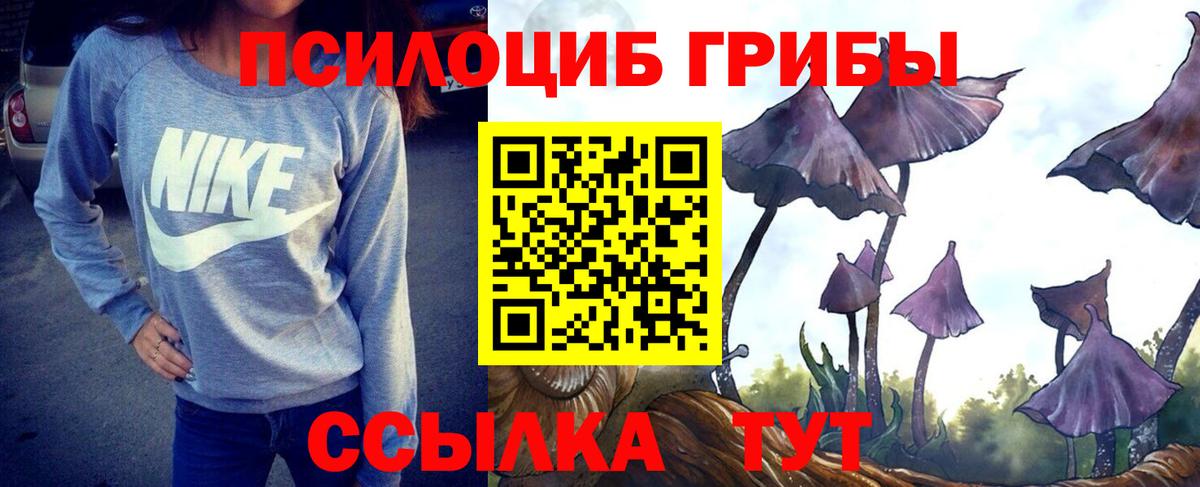 Черкесск  Галлюциногенные грибы мицелий  Галлюциногенные грибы GOLDEN TEACHER  Вход с VPN 